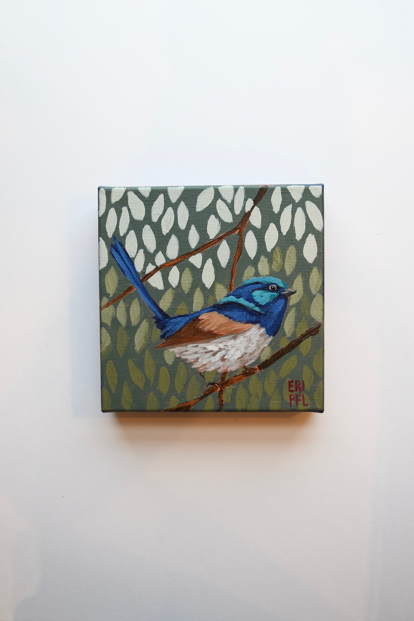 A Bird A Day No 7: The Fairy Wren