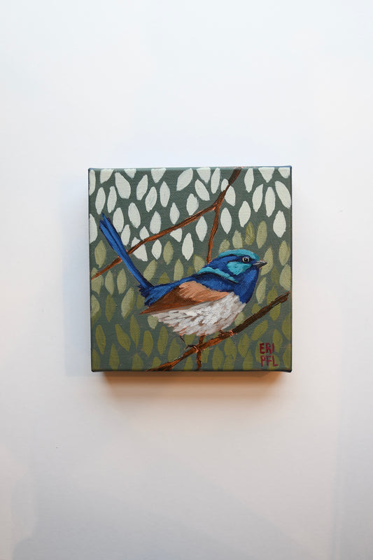 A Bird A Day No 7: The Fairy Wren