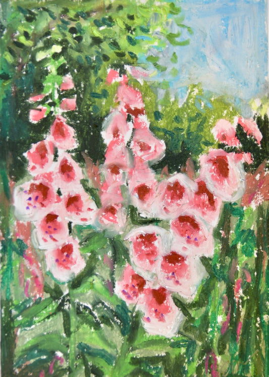 Foxgloves Signed Print