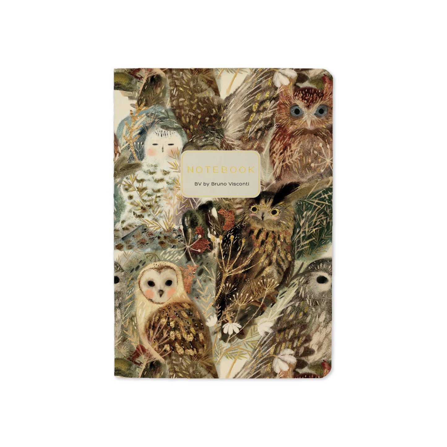 BV by Bruno Visconti - Small Notebook  Owls 