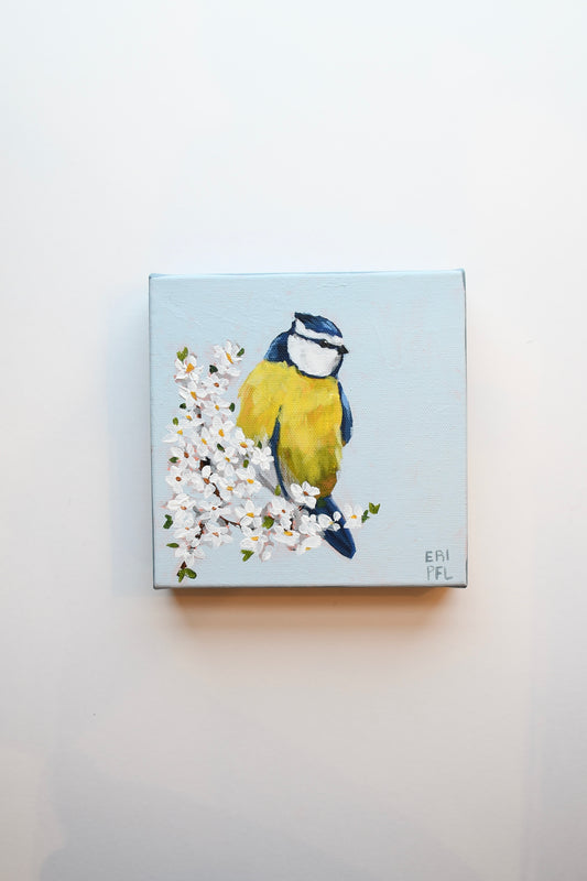 A Bird A Day No 6: The Blue Tit