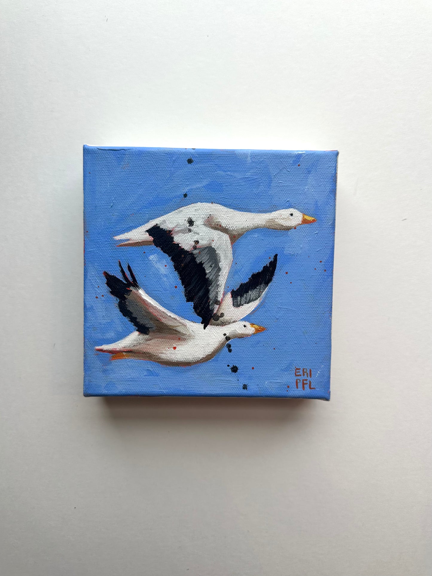 A Bird A Day No 1: The Geese