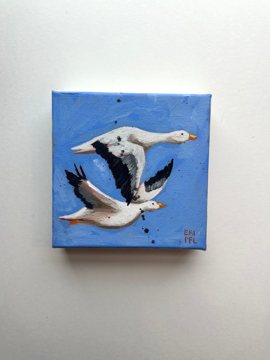 A Bird A Day No 1: The Geese