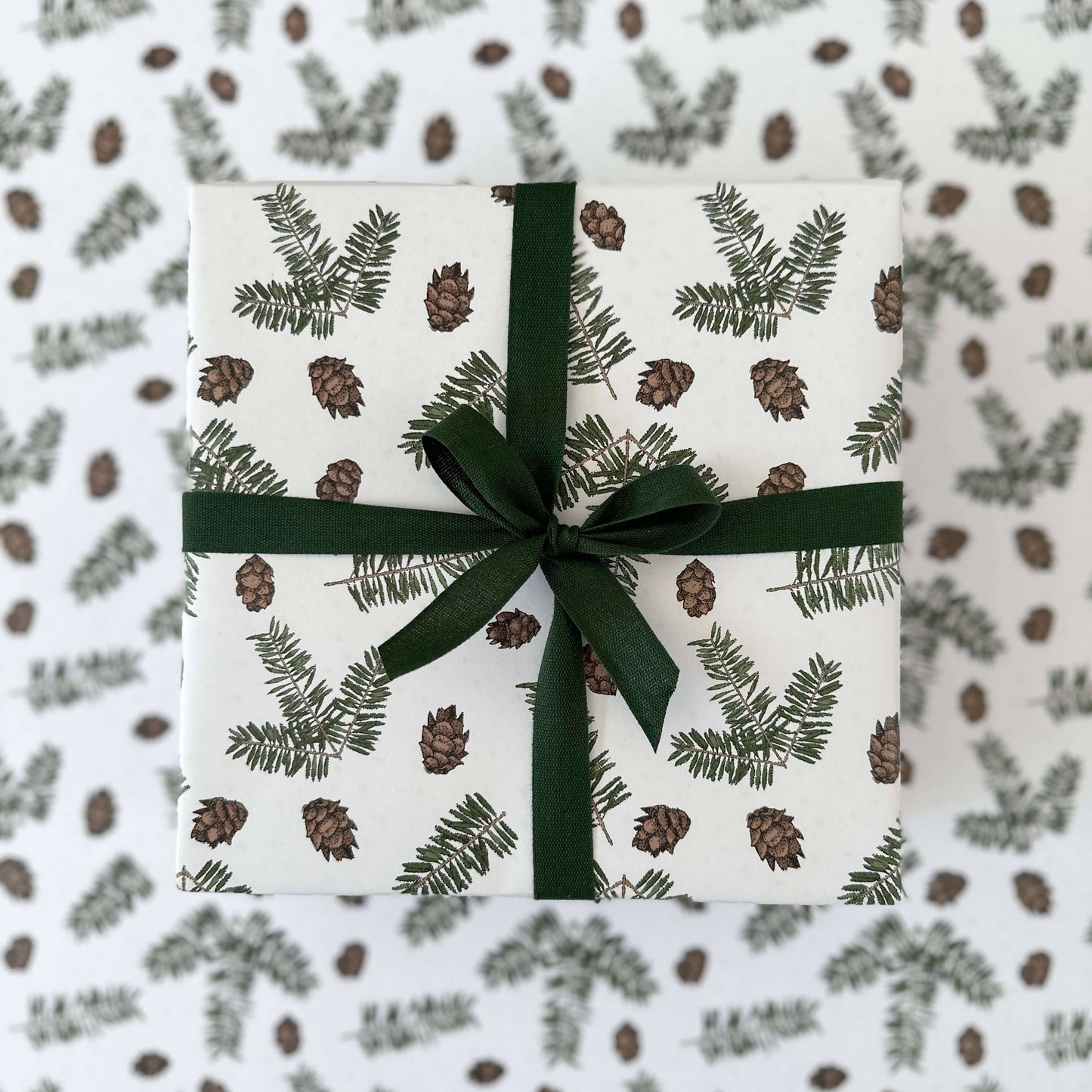 Ballard & Prescott - Pine Cone Wrapping Paper
