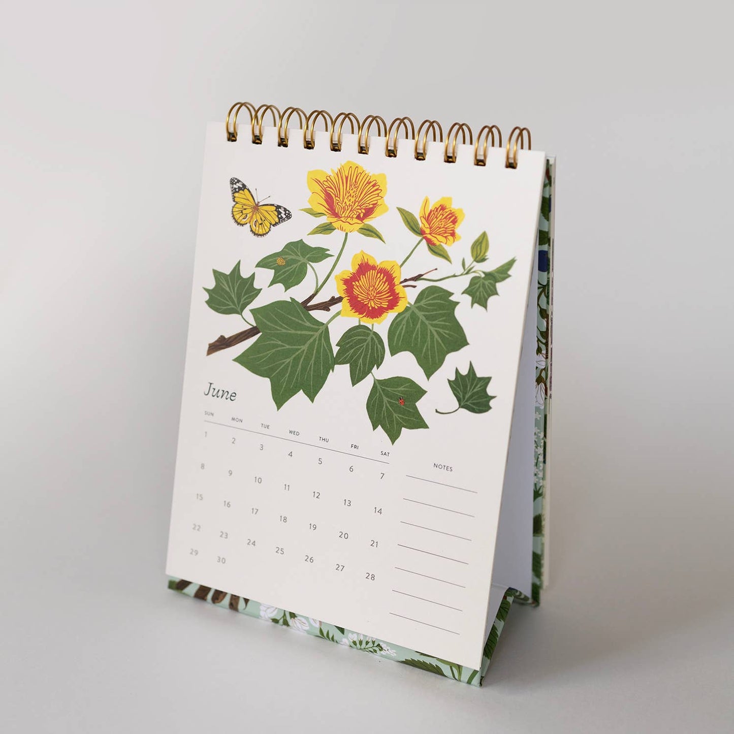 Botanica Paper Co. - 2025 DESK CALENDAR / FLOWERING TREES