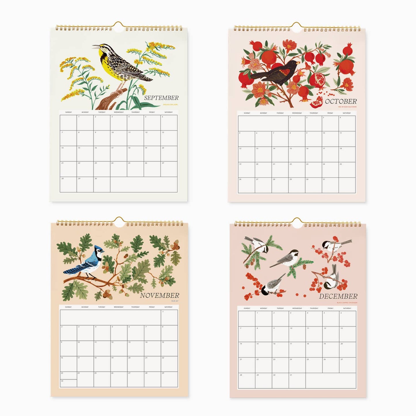 Botanica Paper Co. - 2025 WALL CALENDAR / SONG BIRDS