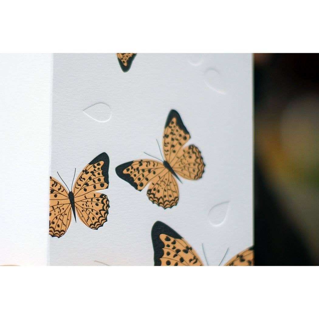 Butterfly Modern Card: Box Set of 6 Cards