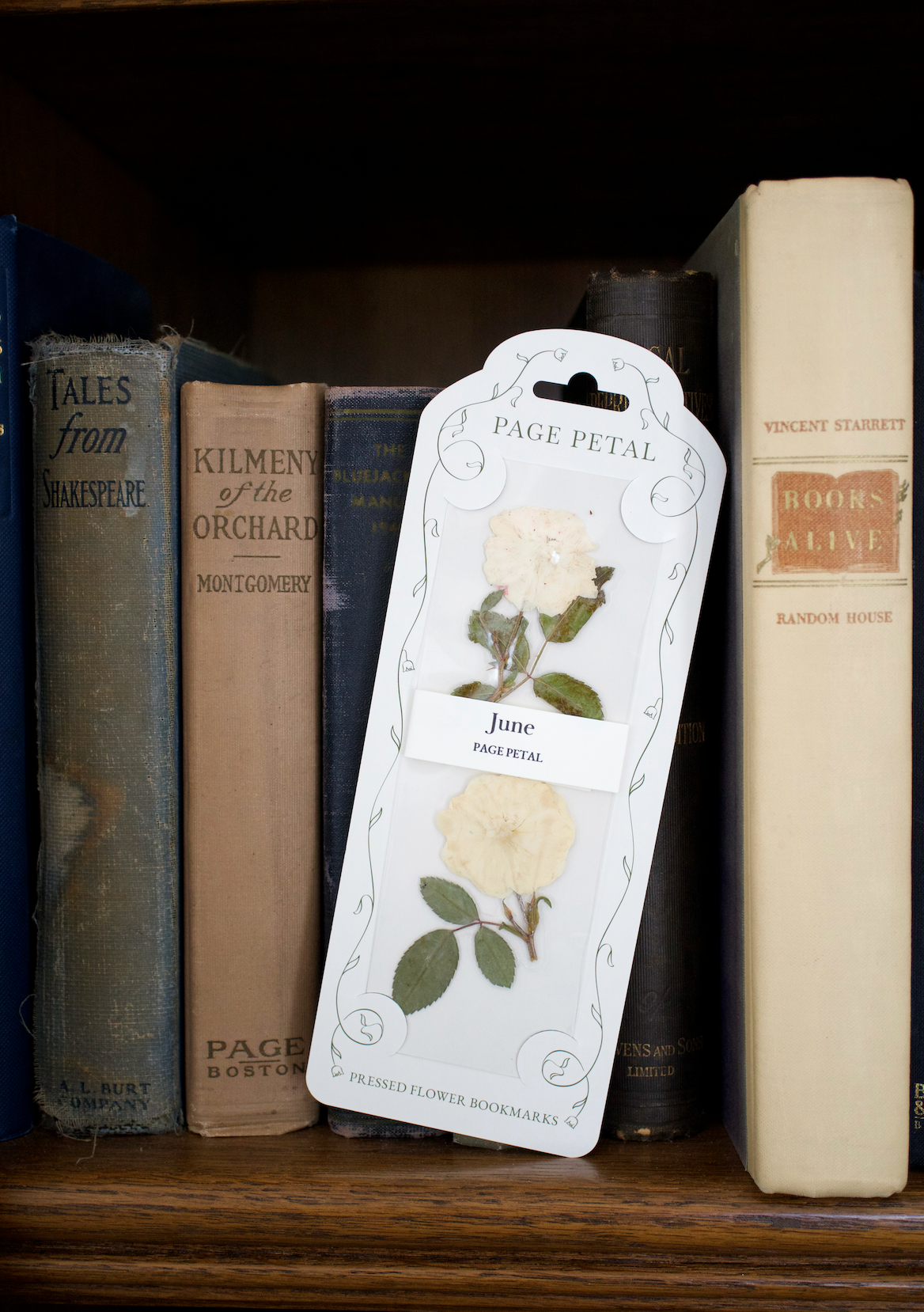 Page Petal - June Rose Bookmark | Birth Month Flower Gift