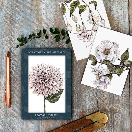 Toasted Crumpet - The Blanc Collection Boxed Notecards