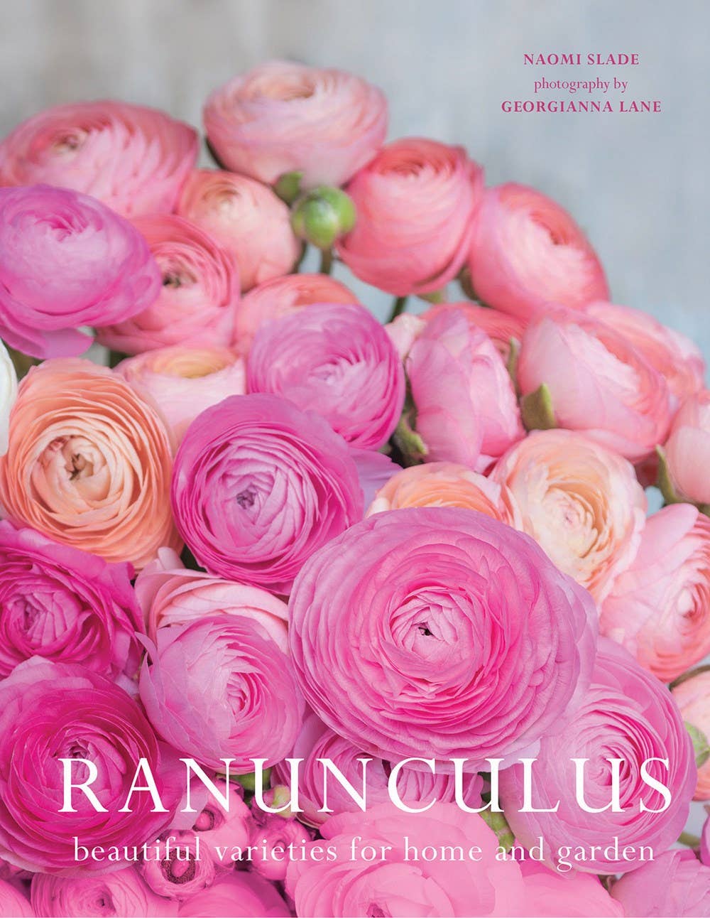 Gibbs Smith - Ranunculus: Beautiful varieties for home and garden