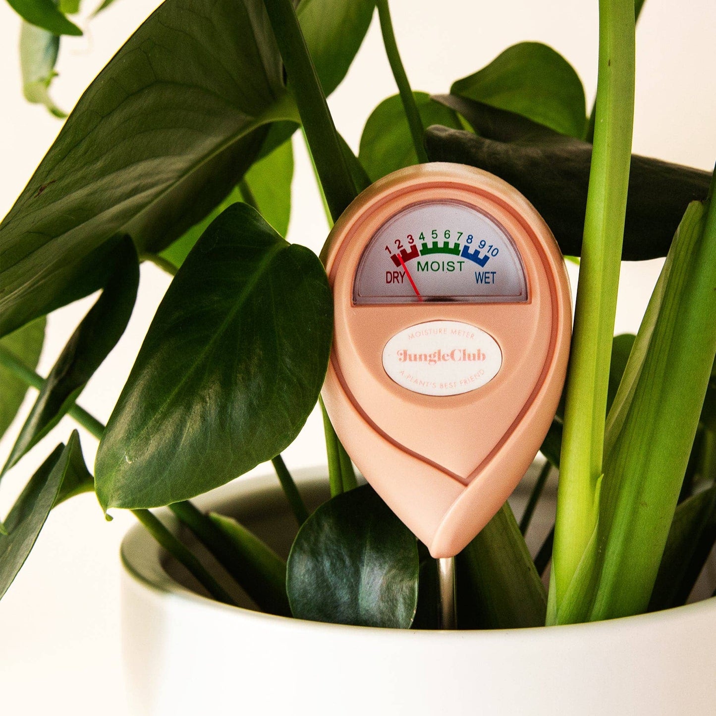 Jungle Club - Moisture Meter | Pink