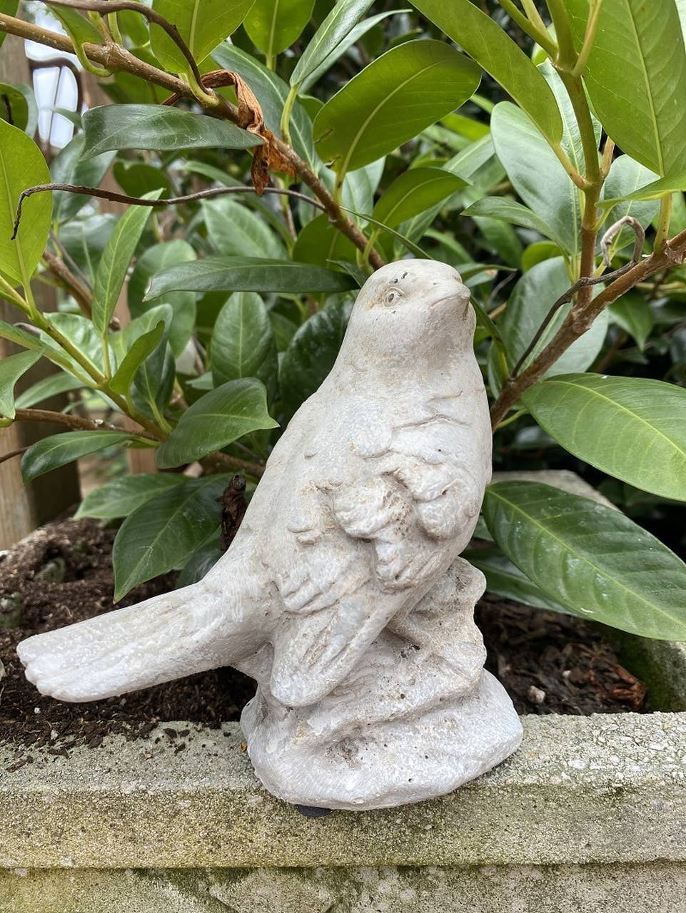 Vagabond Vintage - Tall Cement Bird Statue