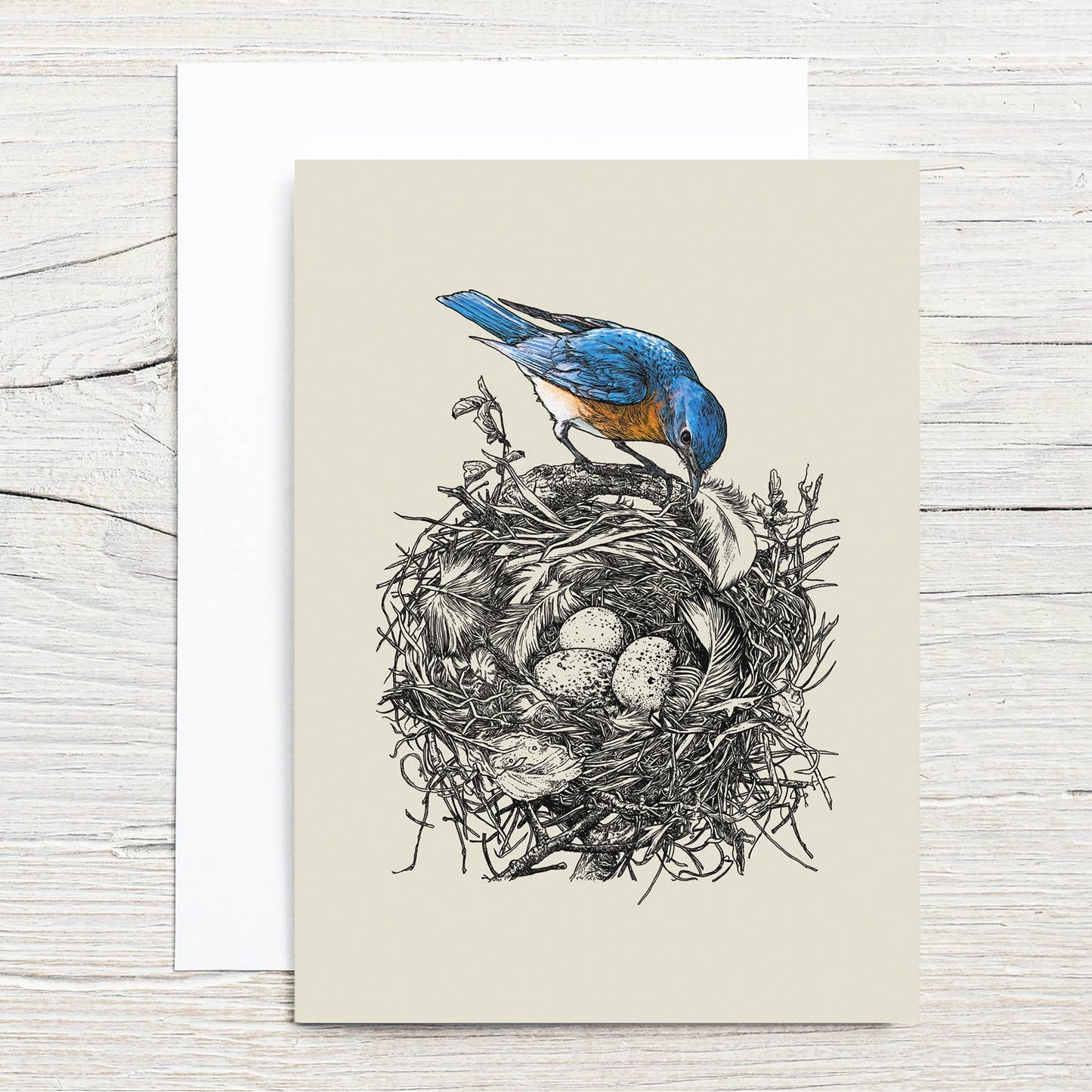 Brook Isle - Bluebird's Nest 5x7 Notecard Set