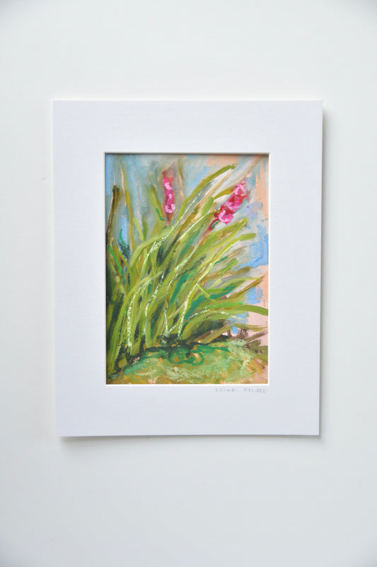 Gladiola Study, No 2