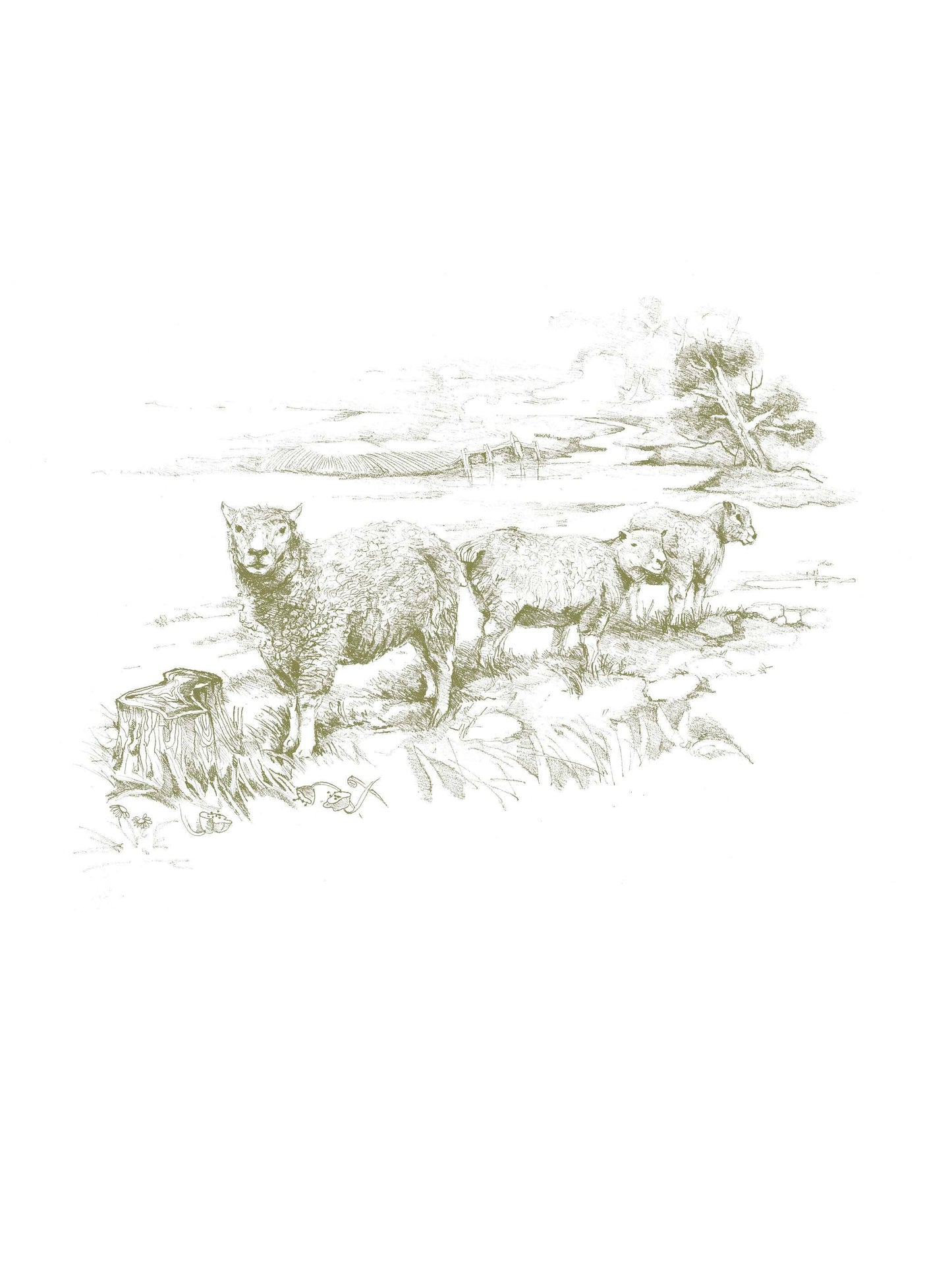 Harvest House Publishers Gift & Specialty Books - Meeting God in Quiet Places