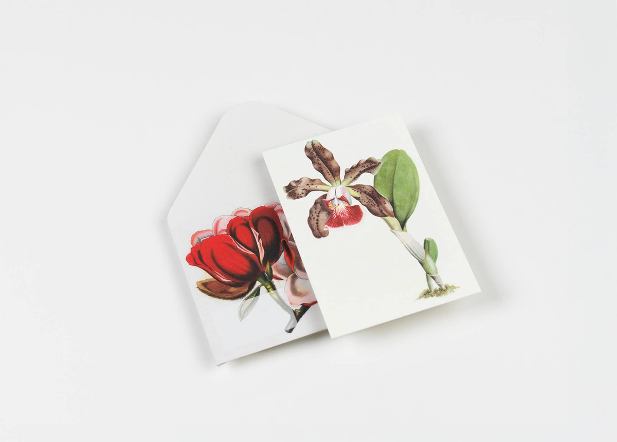 Pepin Press - Flowers Creative Paper Book