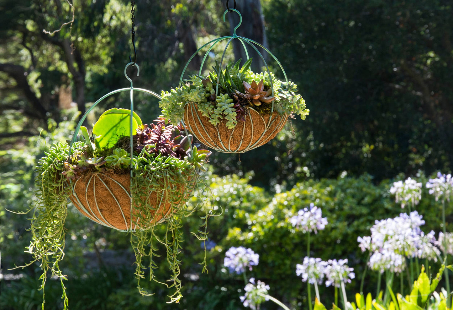 Leeds Sphere Metal Hanging Basket