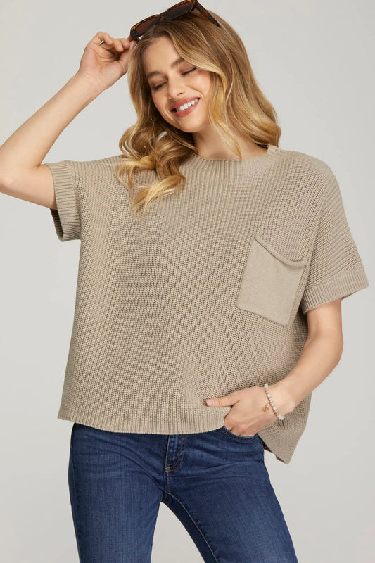 Phebe Mocha Gray Short Sleeved Sweater
