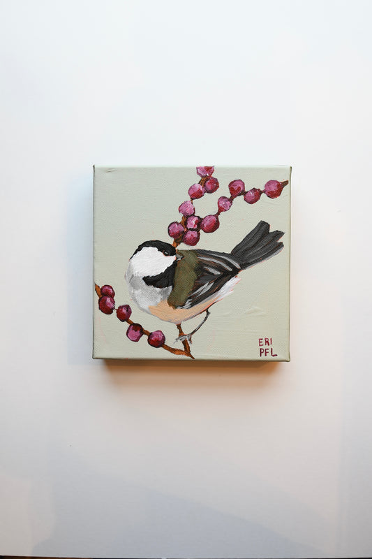 A Bird A Day No 8: The Chickadee