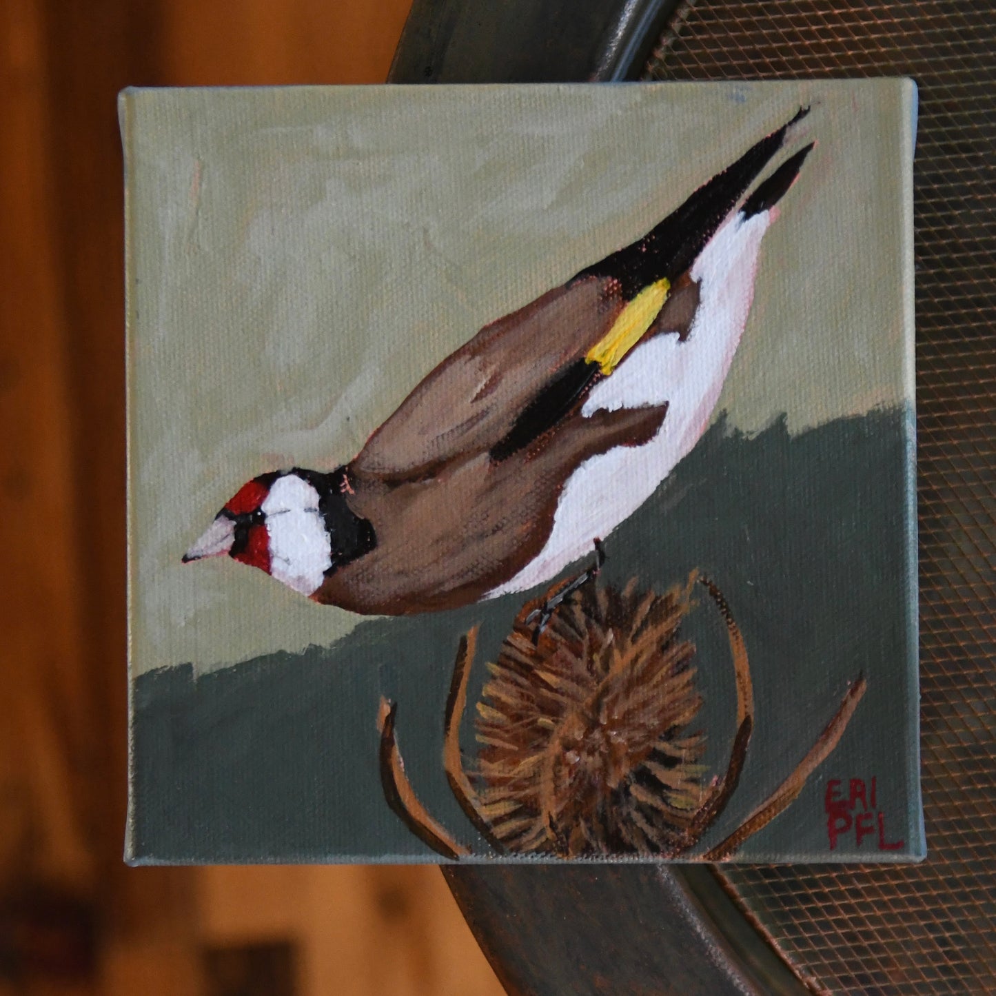 A Bird A Day No 5: The European Goldfinch