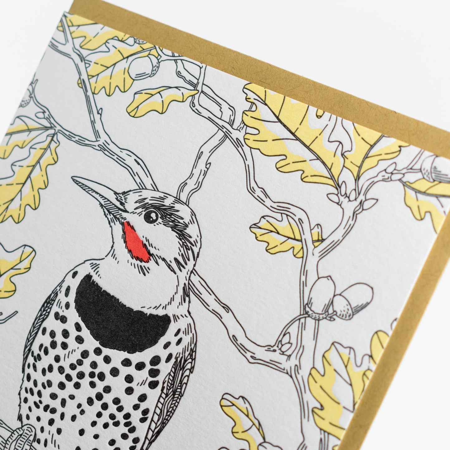 Northern Flicker Card - West Coast Birds: Single Card