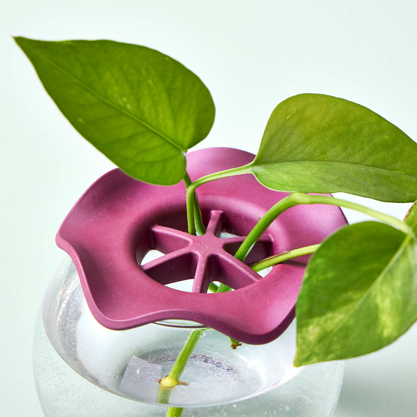 Modern Sprout - Botanical Keepers - Set of 2