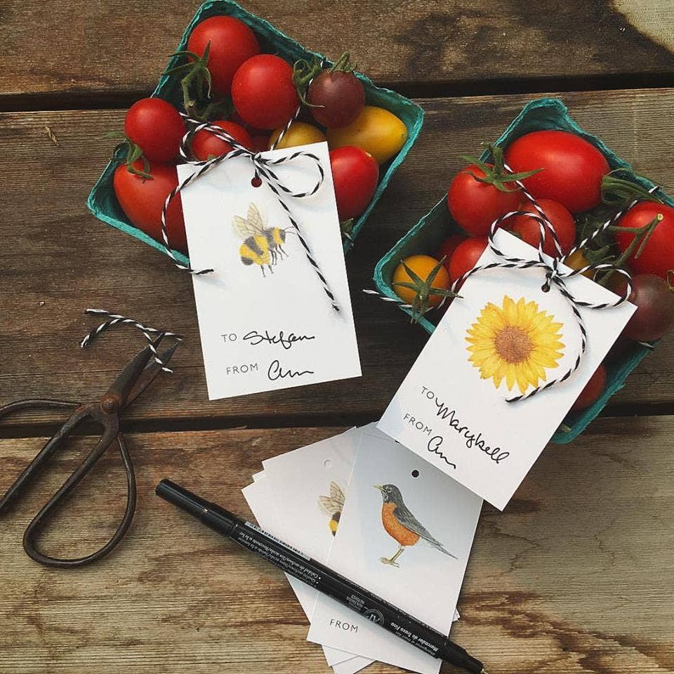 Everyday Gift Tag Set