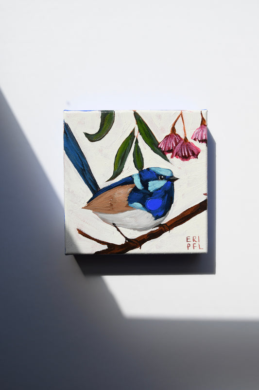 A Bird A Day No 15: The 2nd Fairy Wren