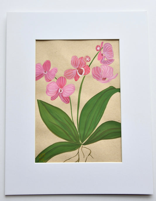 Orchids on Paper