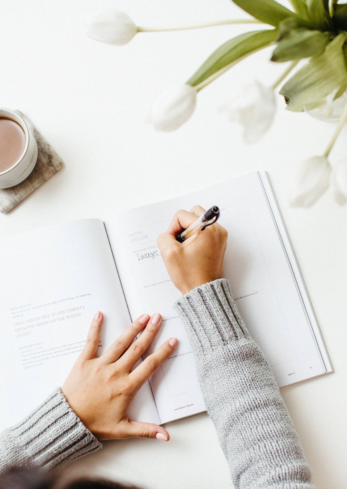She Reads Truth - Everything New Women's Reading Guide