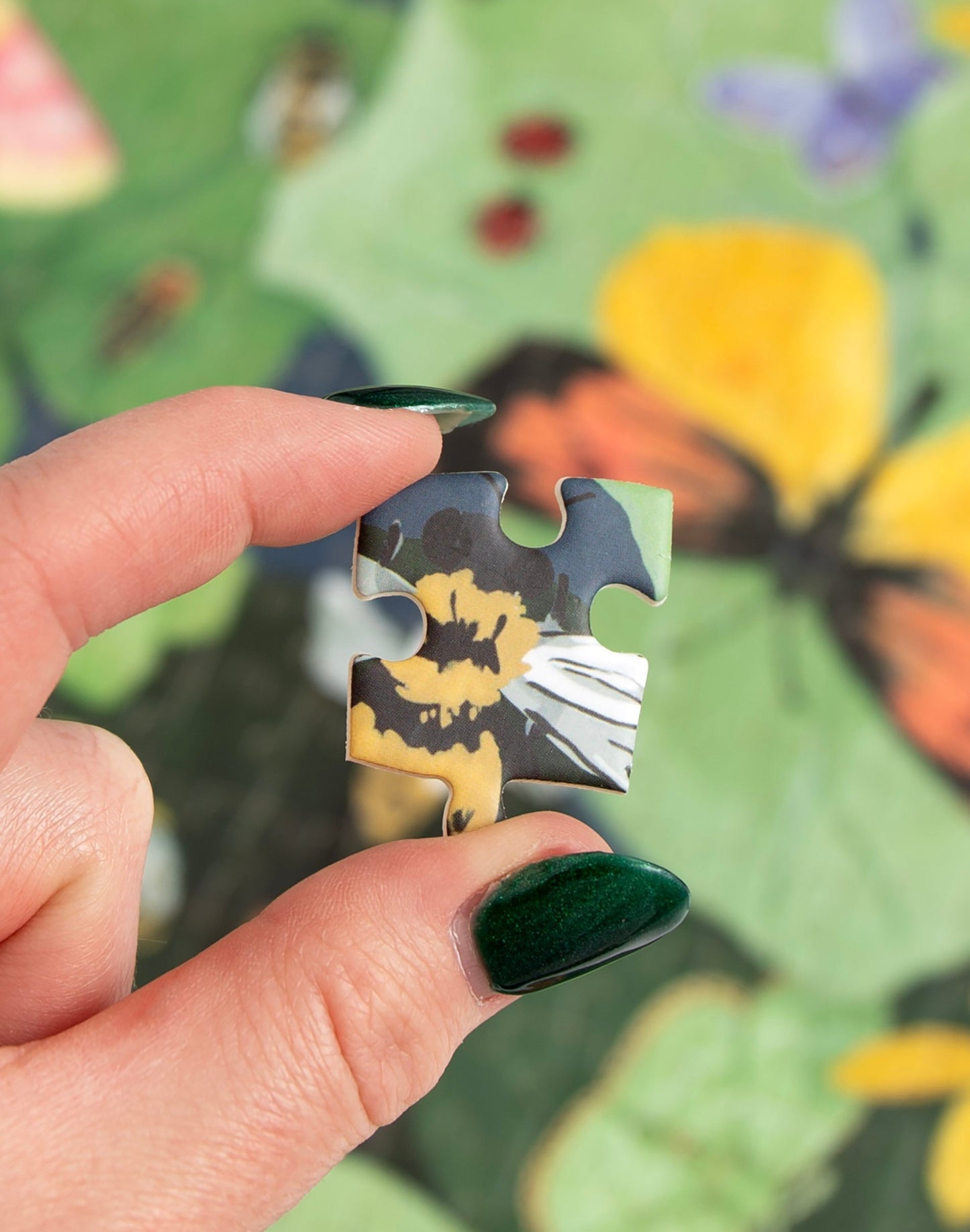 Pollinator Puzzle