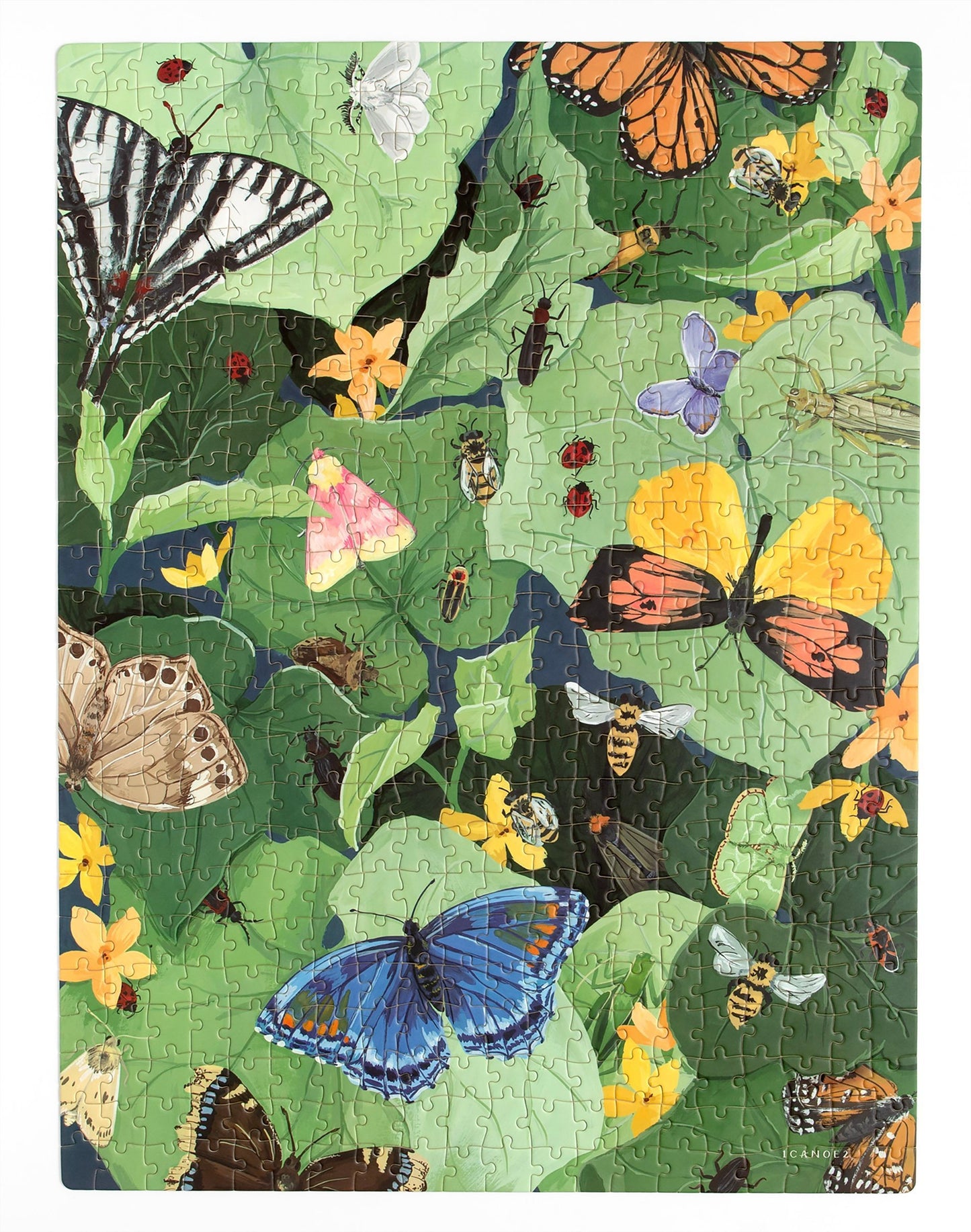 Pollinator Puzzle