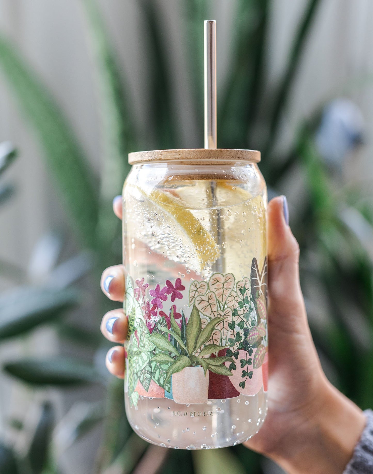 Houseplants Glass Can