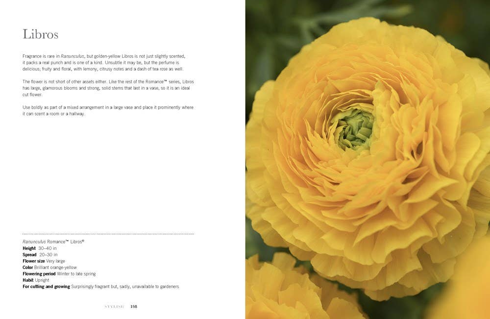 Gibbs Smith - Ranunculus: Beautiful varieties for home and garden