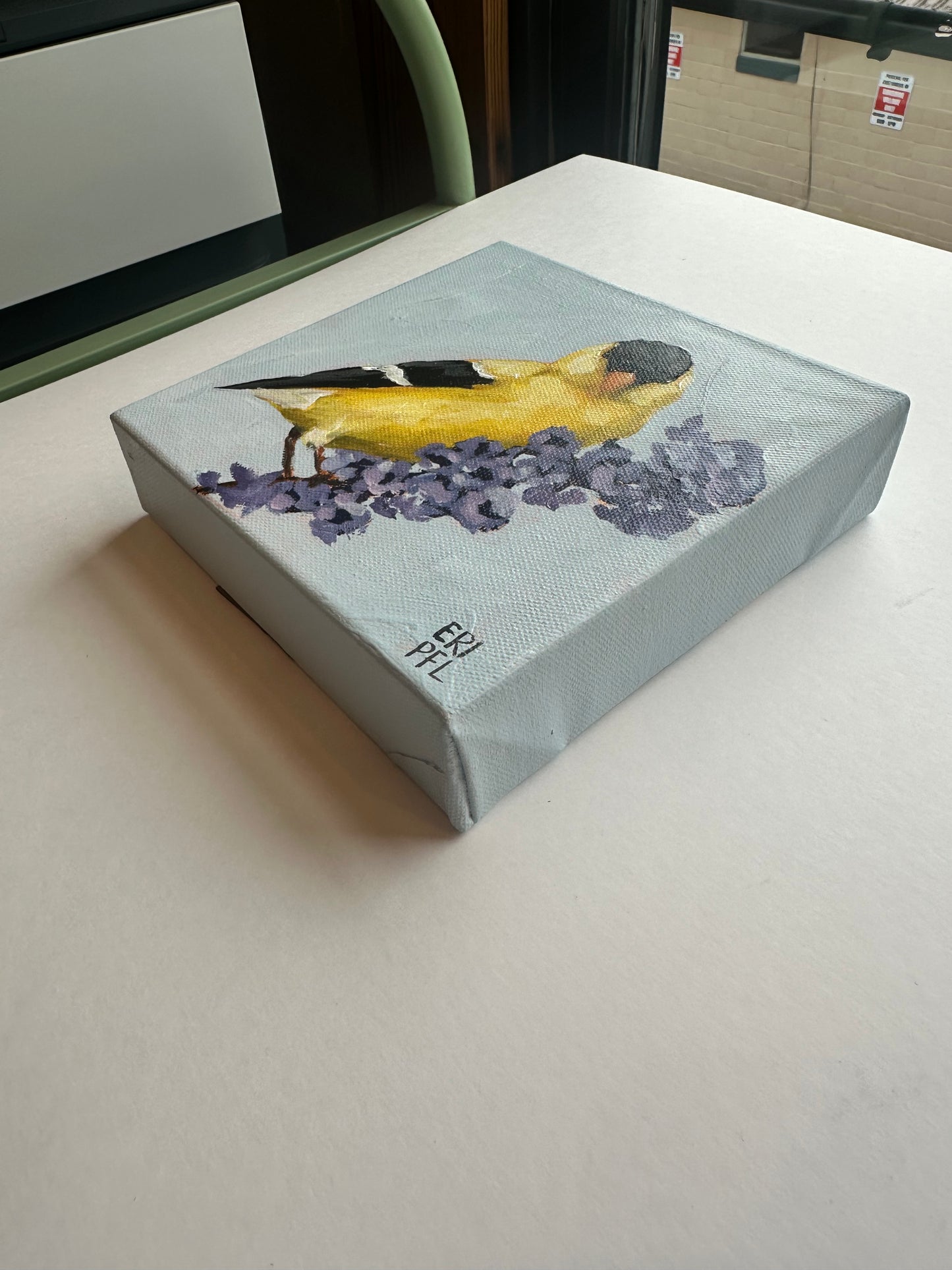 A Bird A Day No 3: The Goldfinch