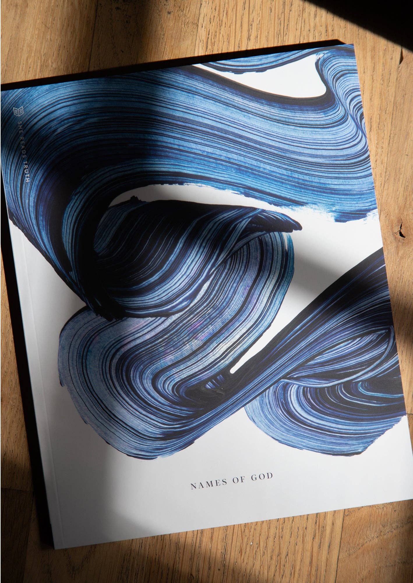 She Reads Truth - Names of God Women's Reading Guide