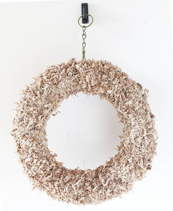 SuperMoss - Living Wreath Round: 11"