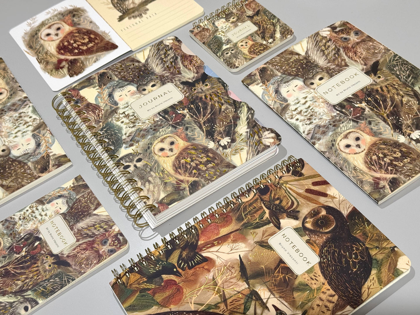 BV by Bruno Visconti - Small Notebook  Owls 