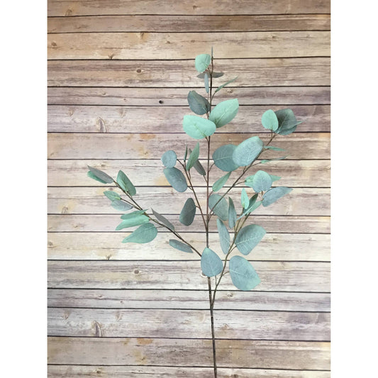 David Christopher's Collection - 37" Silver Dollar Eucalyptus Spray