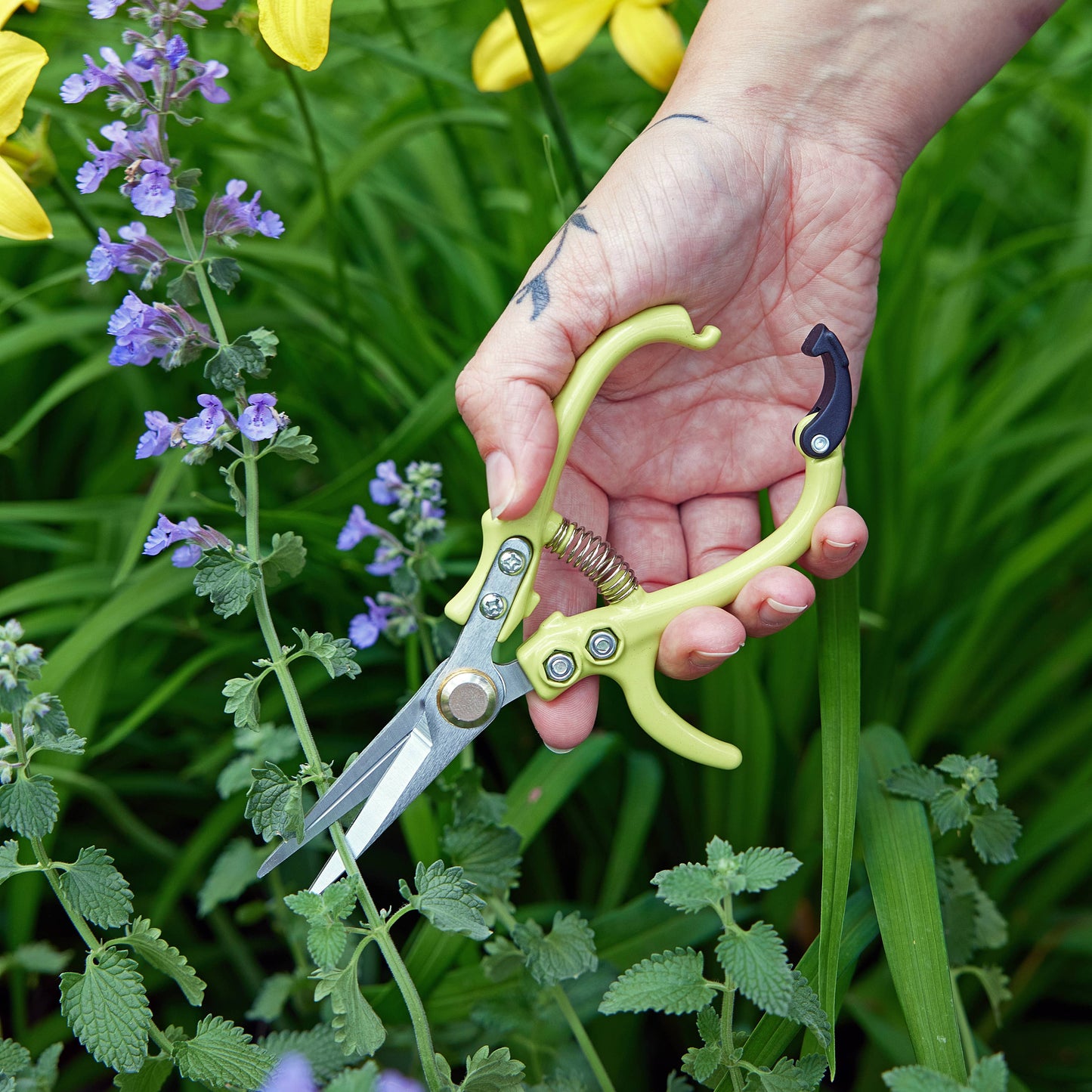 Modern Sprout - New Colors! Garden Shears