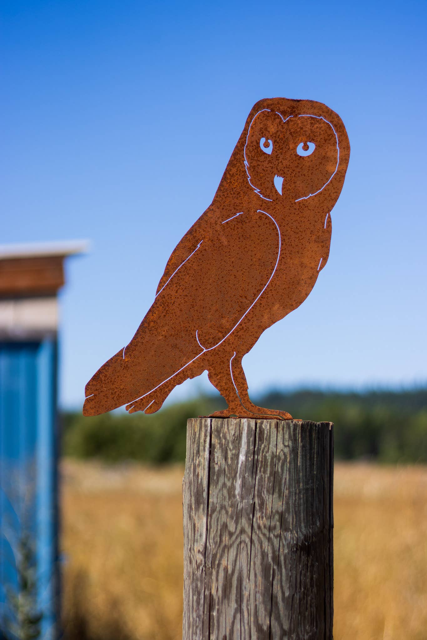 Elegant Garden Design - Barn Owl Tab