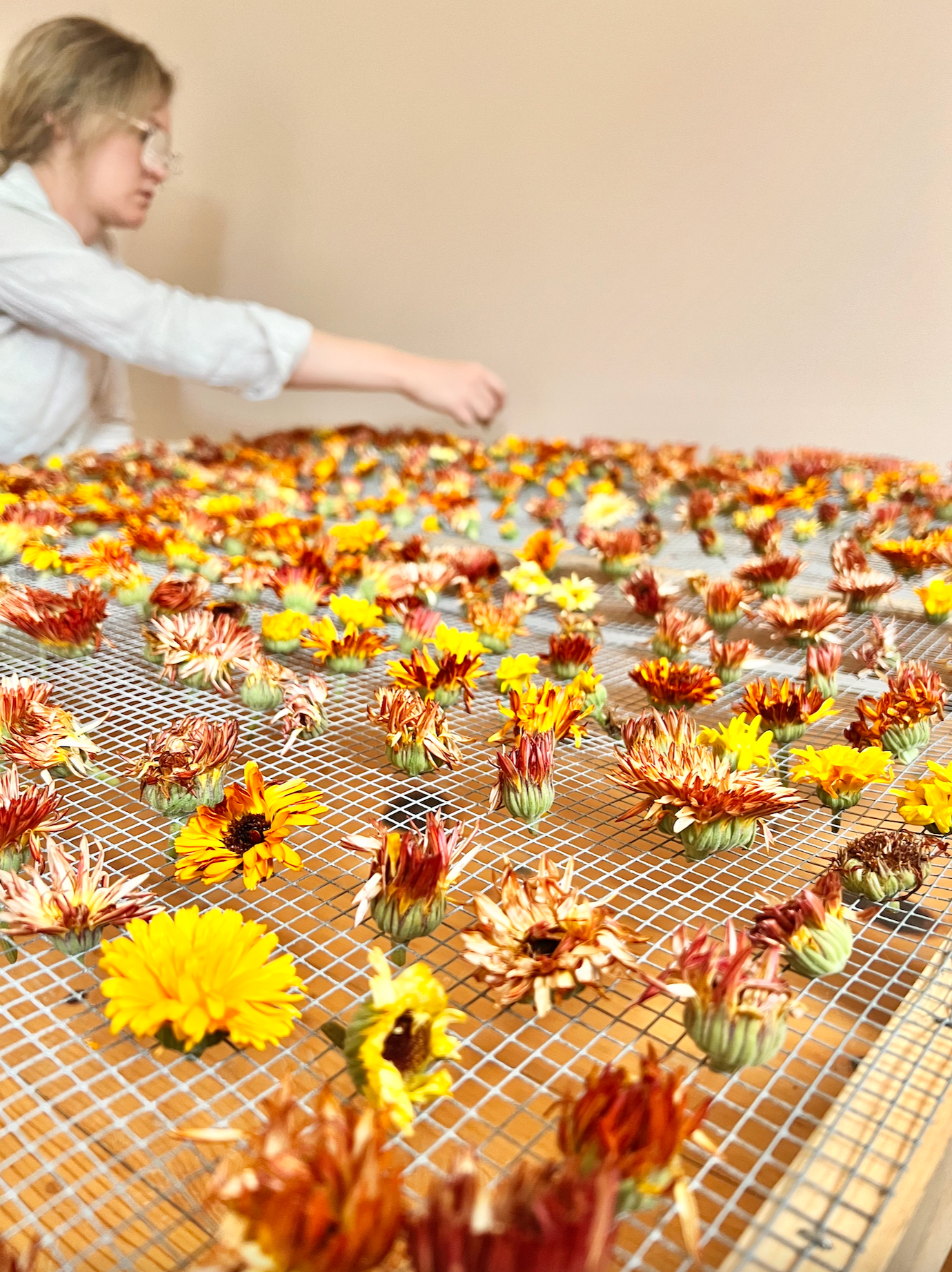 The Quiet Botanist - Edible Flower Blend