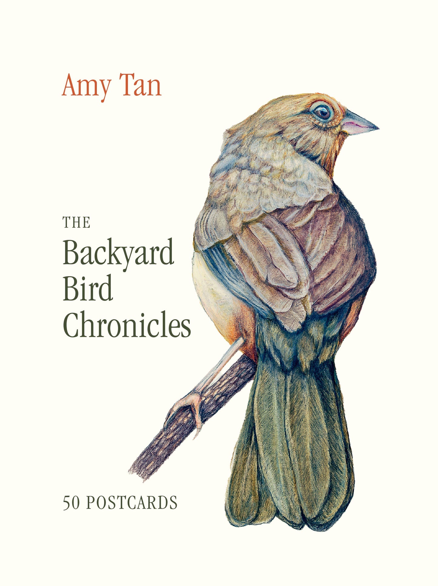 Hachette Book Group - The Backyard Bird Chronicles: 50 Postcards by Amy Tan