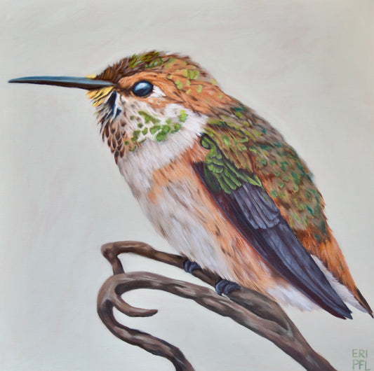 Rufous Hummingbird Signed Print