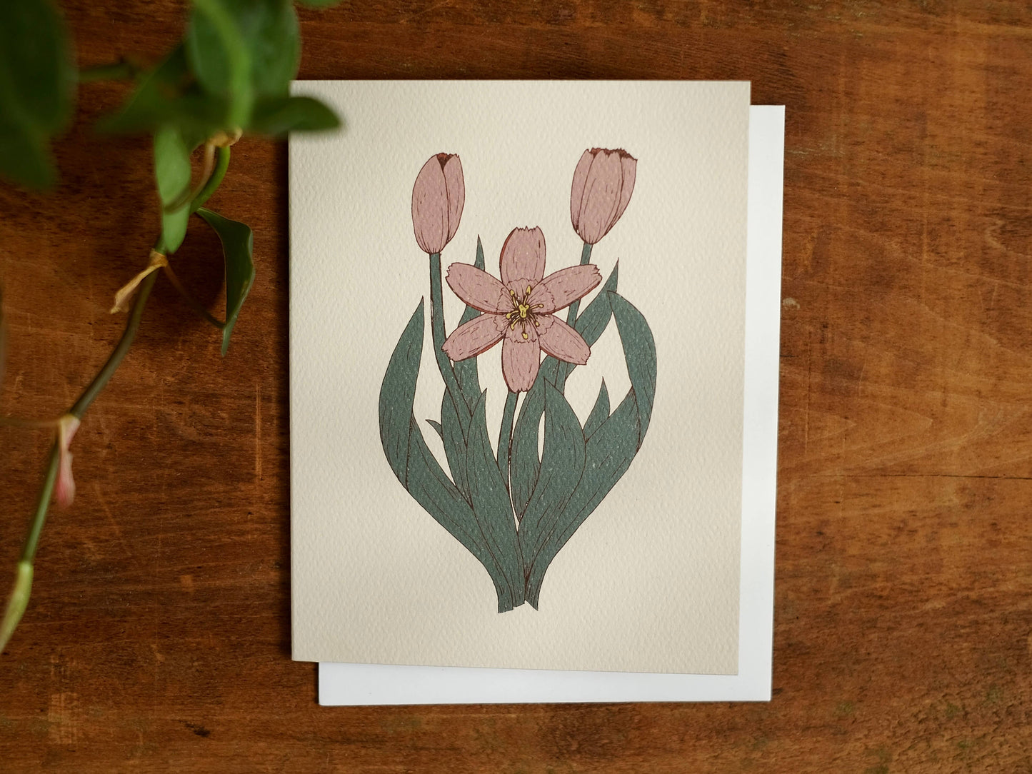 annalisa v. sawtell - The Botanical Promises Collection | Boxed Set of 8 | A2