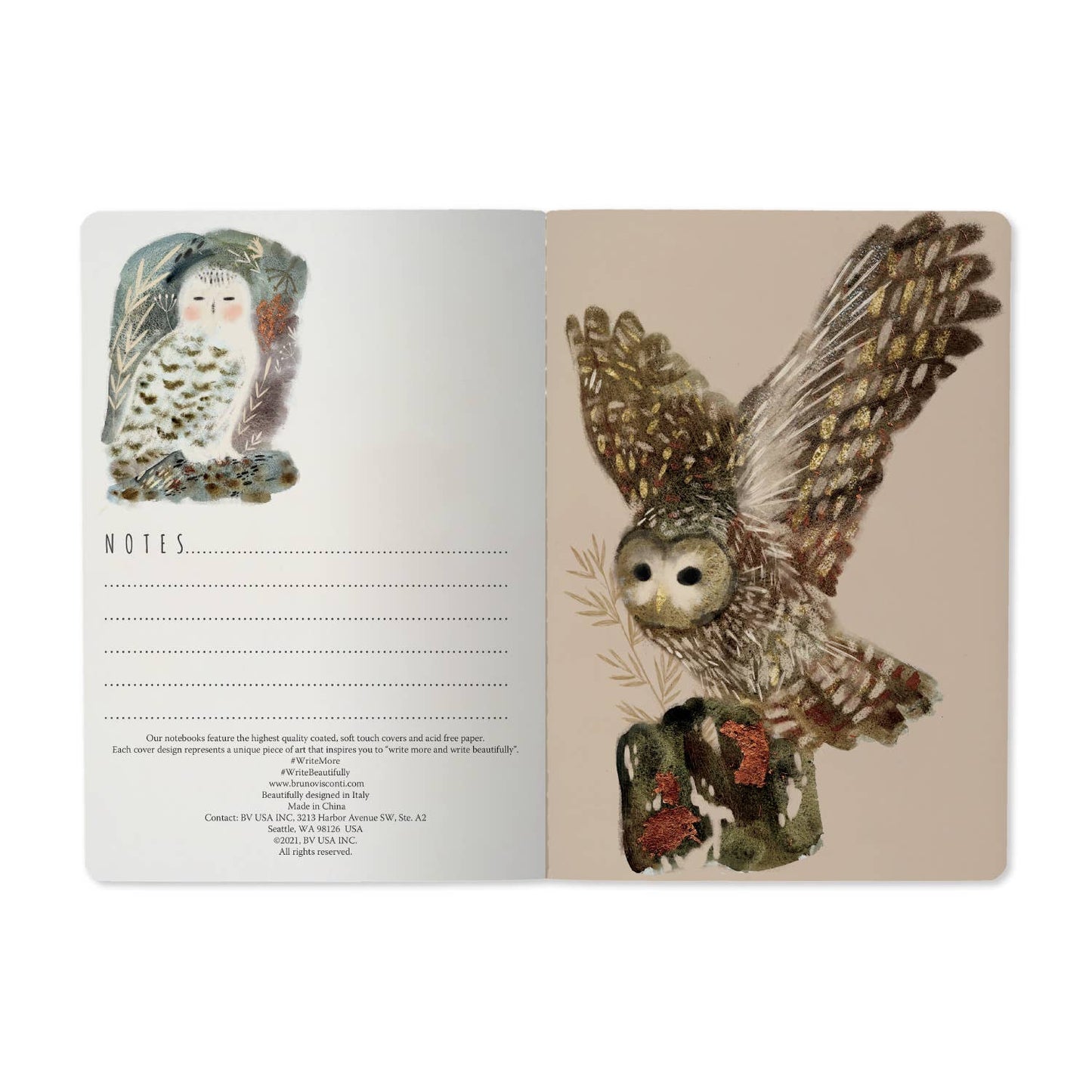 BV by Bruno Visconti - Owls Notebook