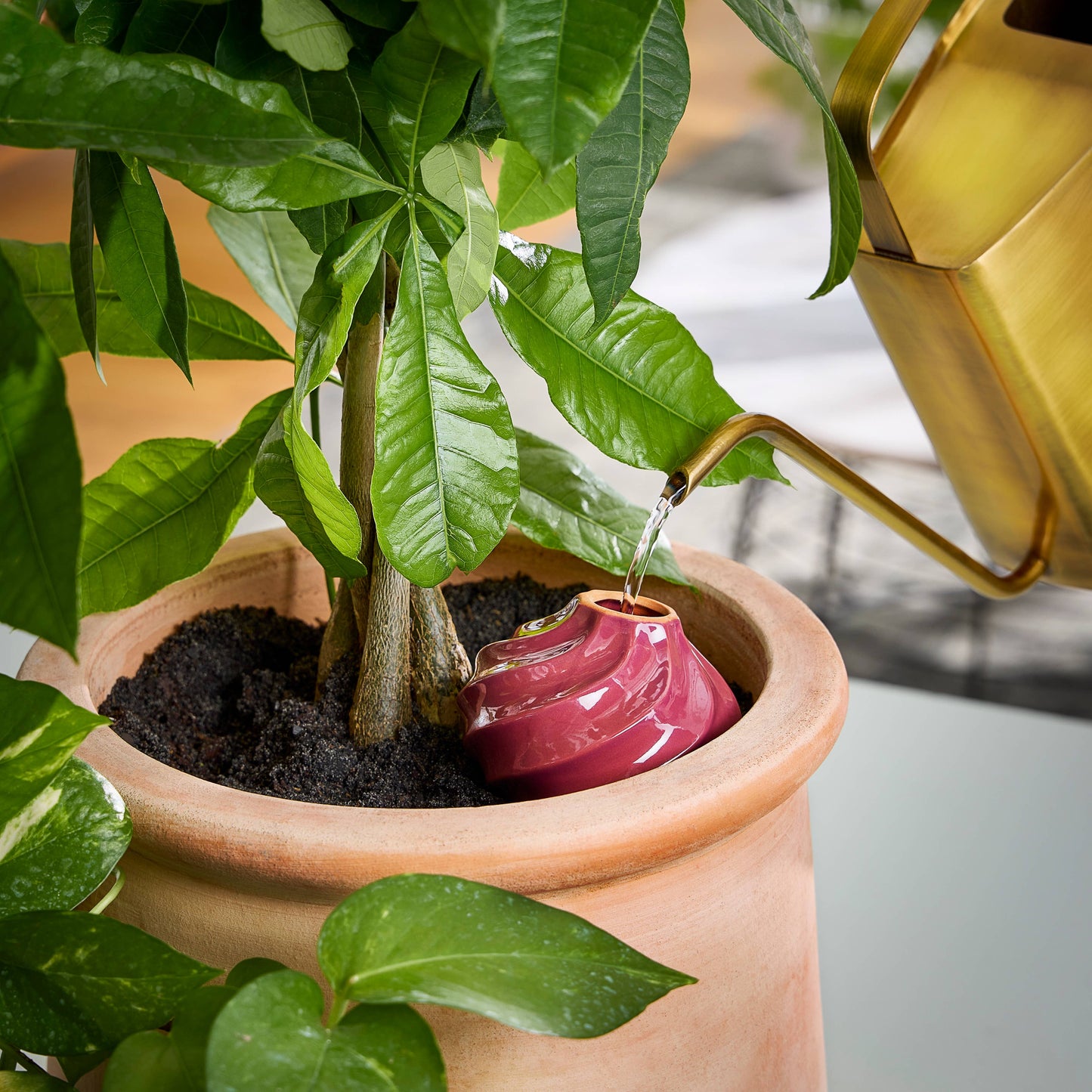 Modern Sprout - Terracotta Watering Bulb