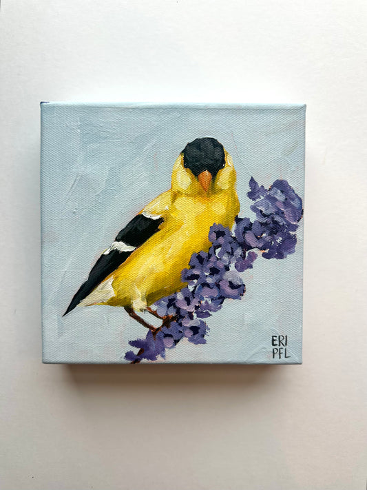 A Bird A Day No 3: The Goldfinch