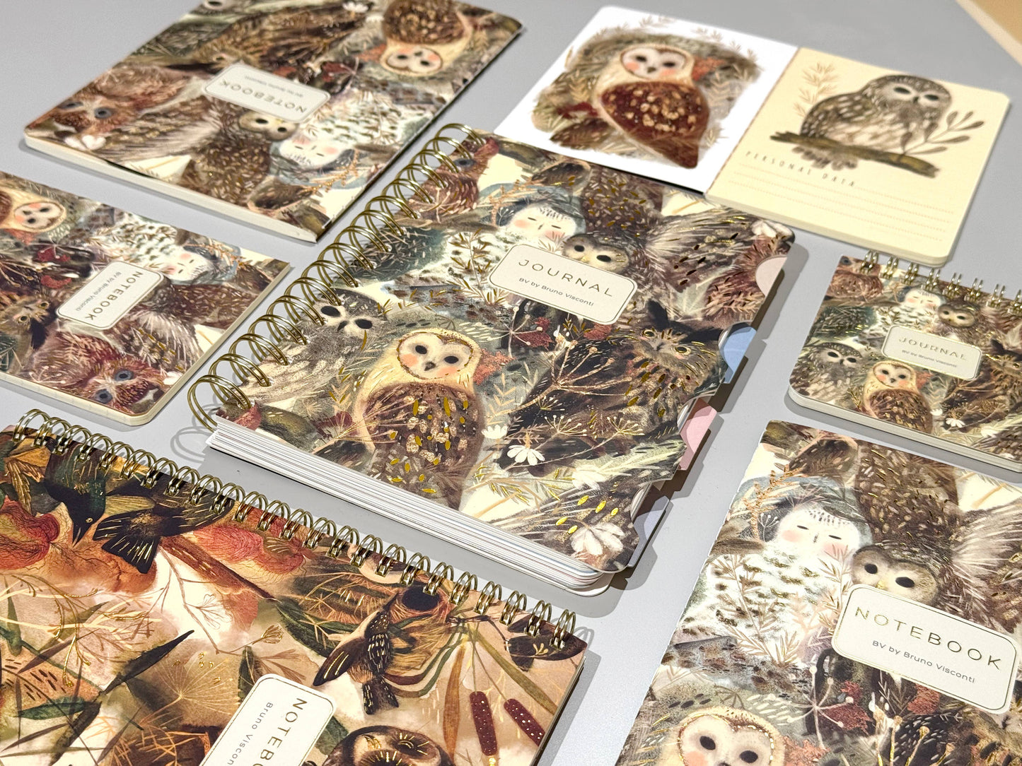 BV by Bruno Visconti - Small Notebook  Owls 