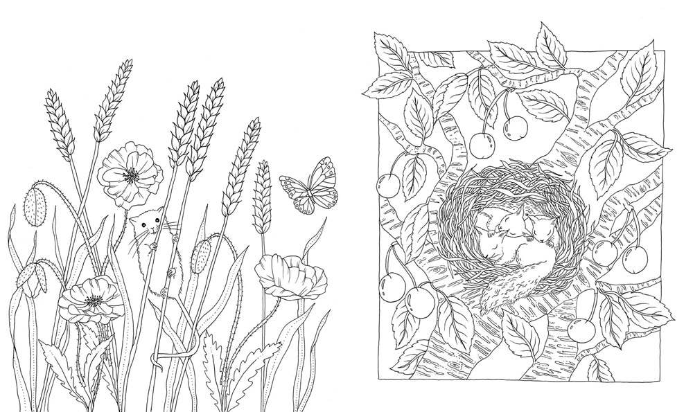 Gibbs Smith - Flora Coloring Book